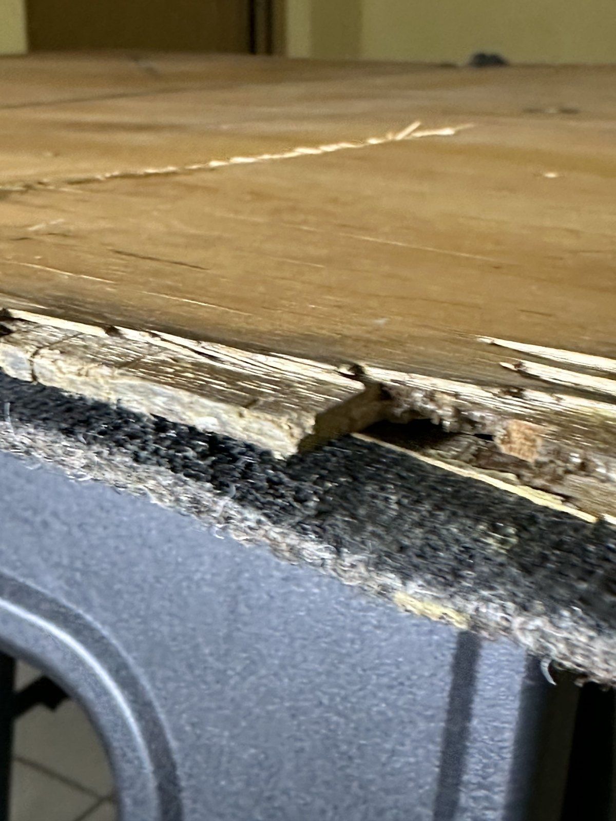 IMG_4064.jpg IMG_4064.jpg