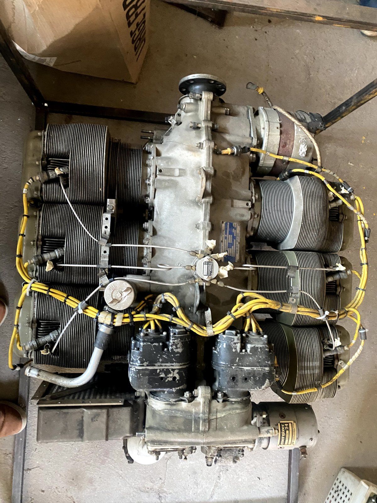 IMG_5859.jpeg IMG_5859.jpeg