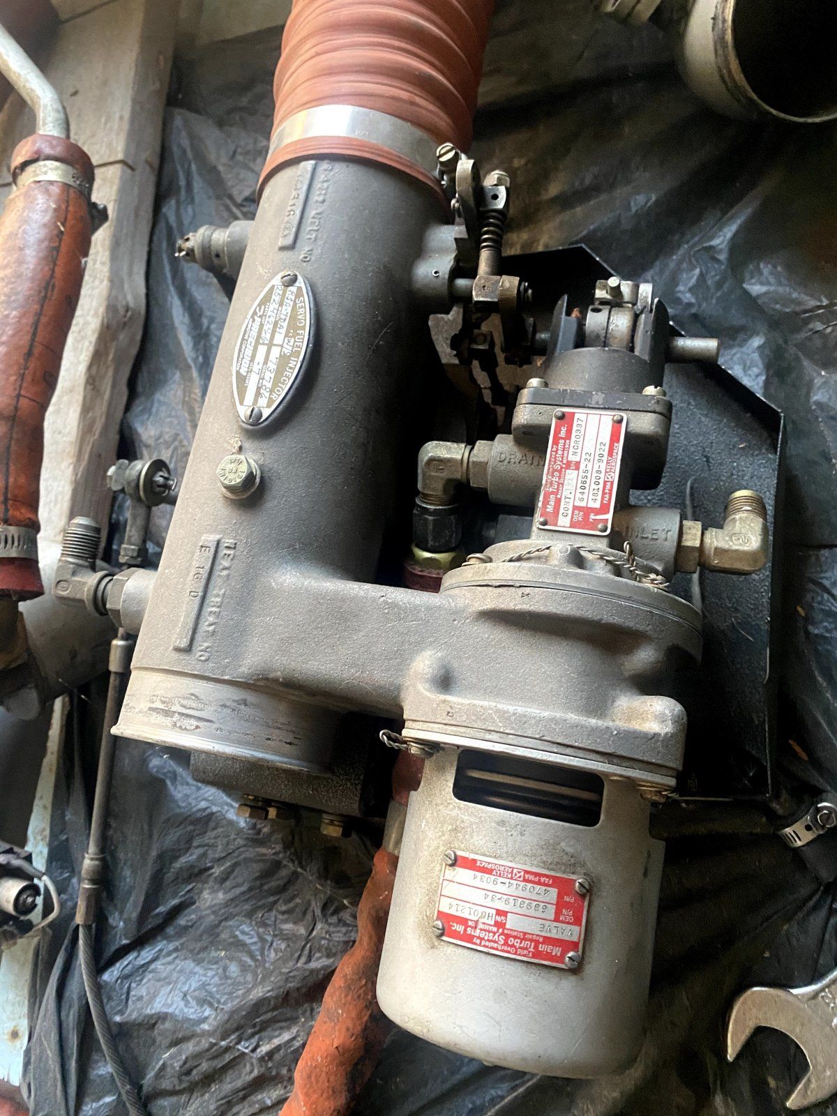 IMG_5867.jpeg IMG_5867.jpeg