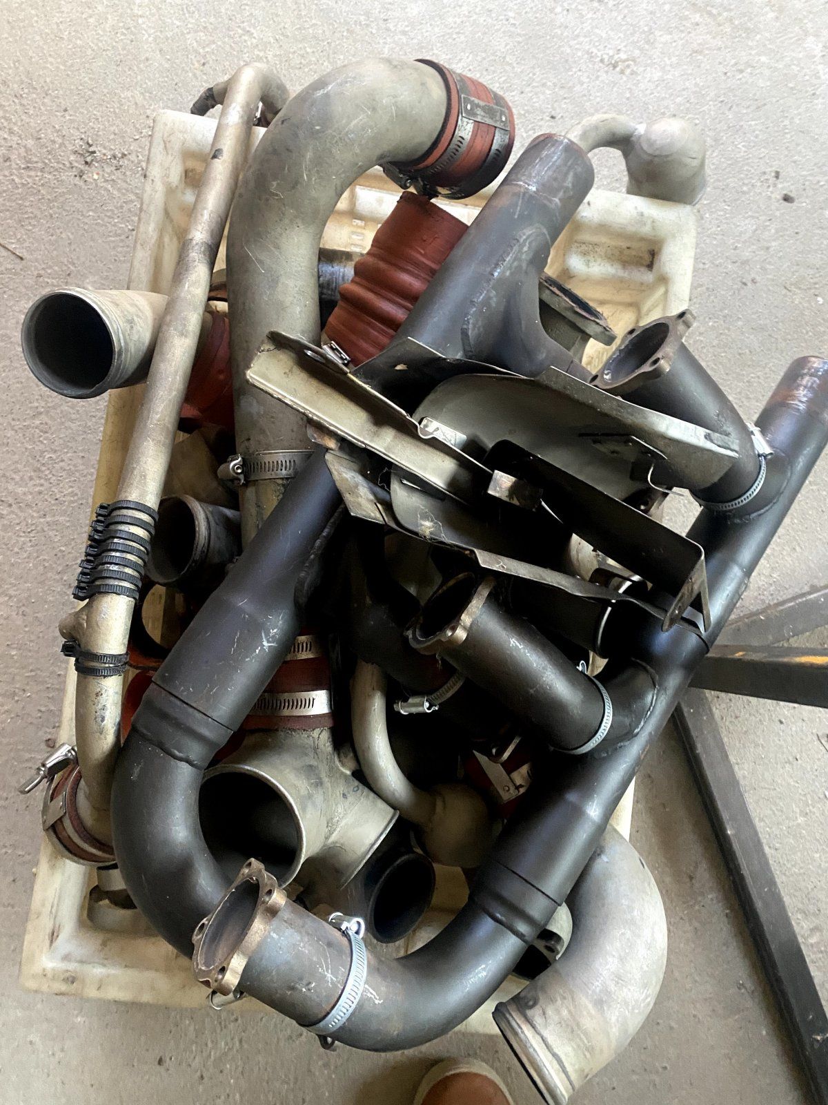 IMG_5868.jpeg IMG_5868.jpeg