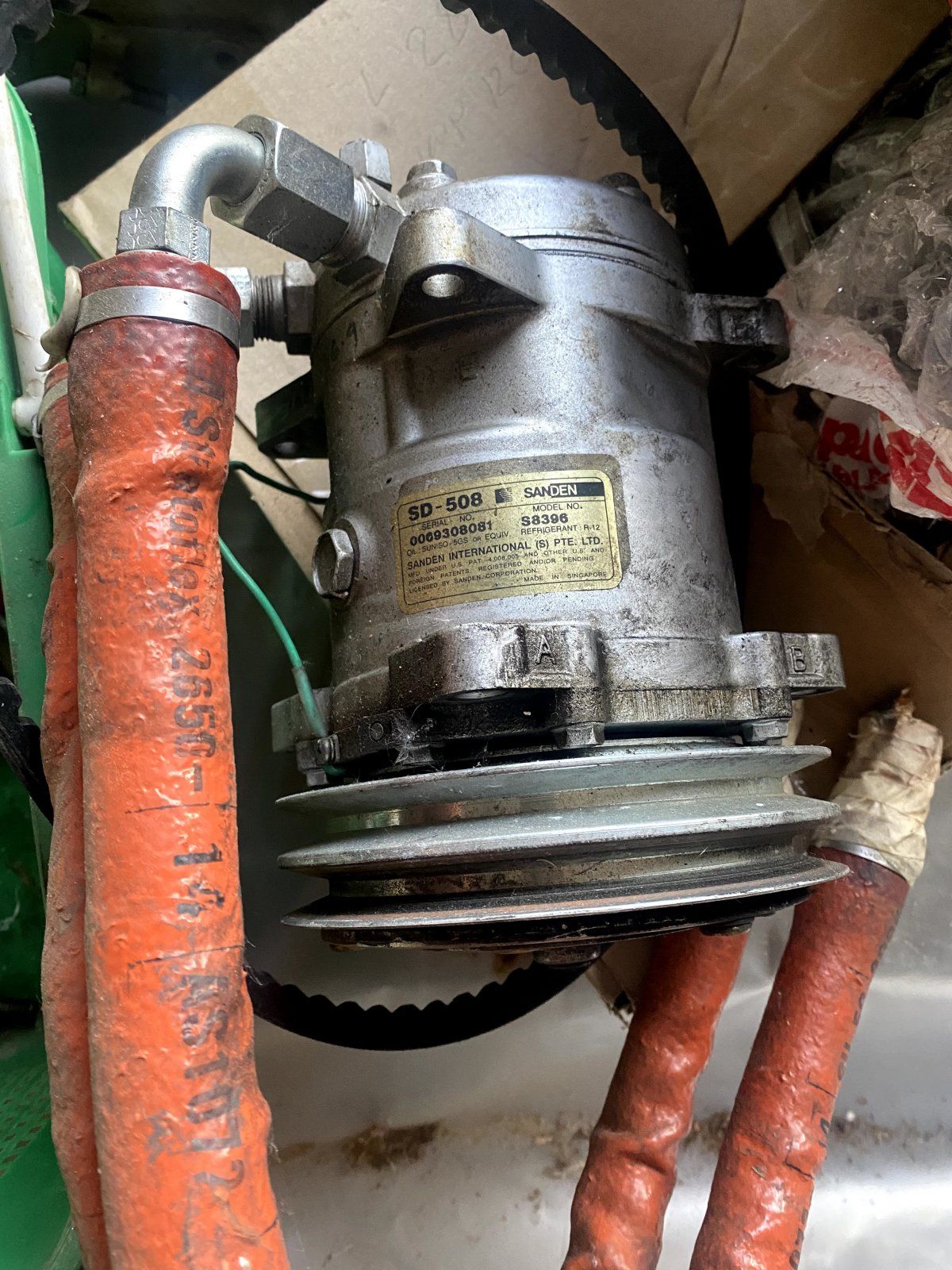 IMG_5869.jpeg IMG_5869.jpeg