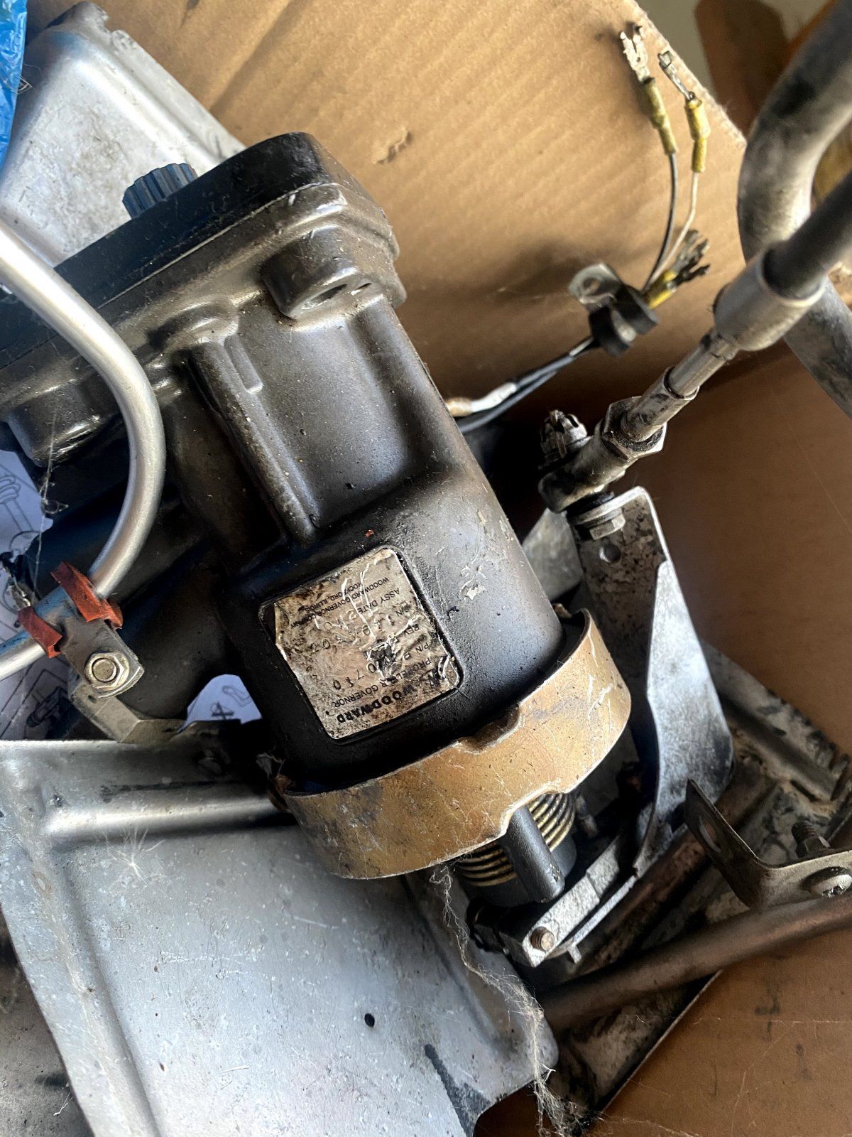 IMG_5872.jpeg IMG_5872.jpeg