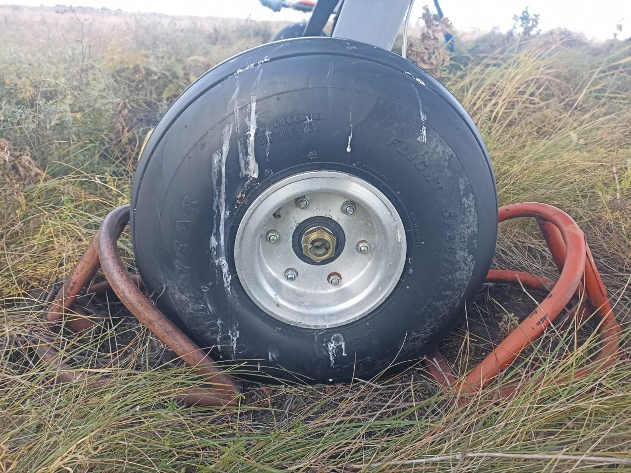 IMG_6991.JPG IMG_6991.JPG