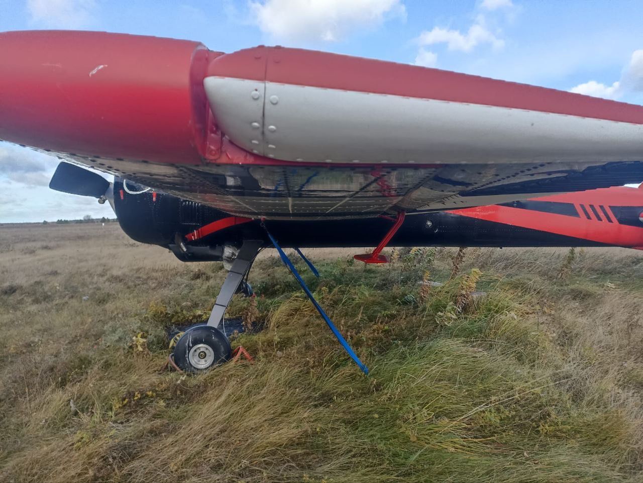 IMG_7010.JPG IMG_7010.JPG