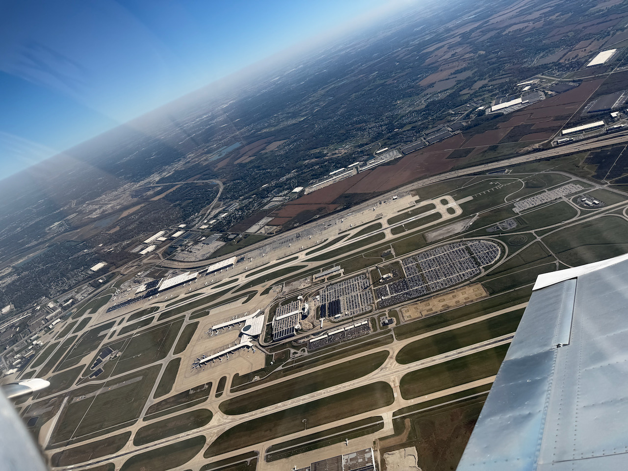 Indy - 1.jpeg