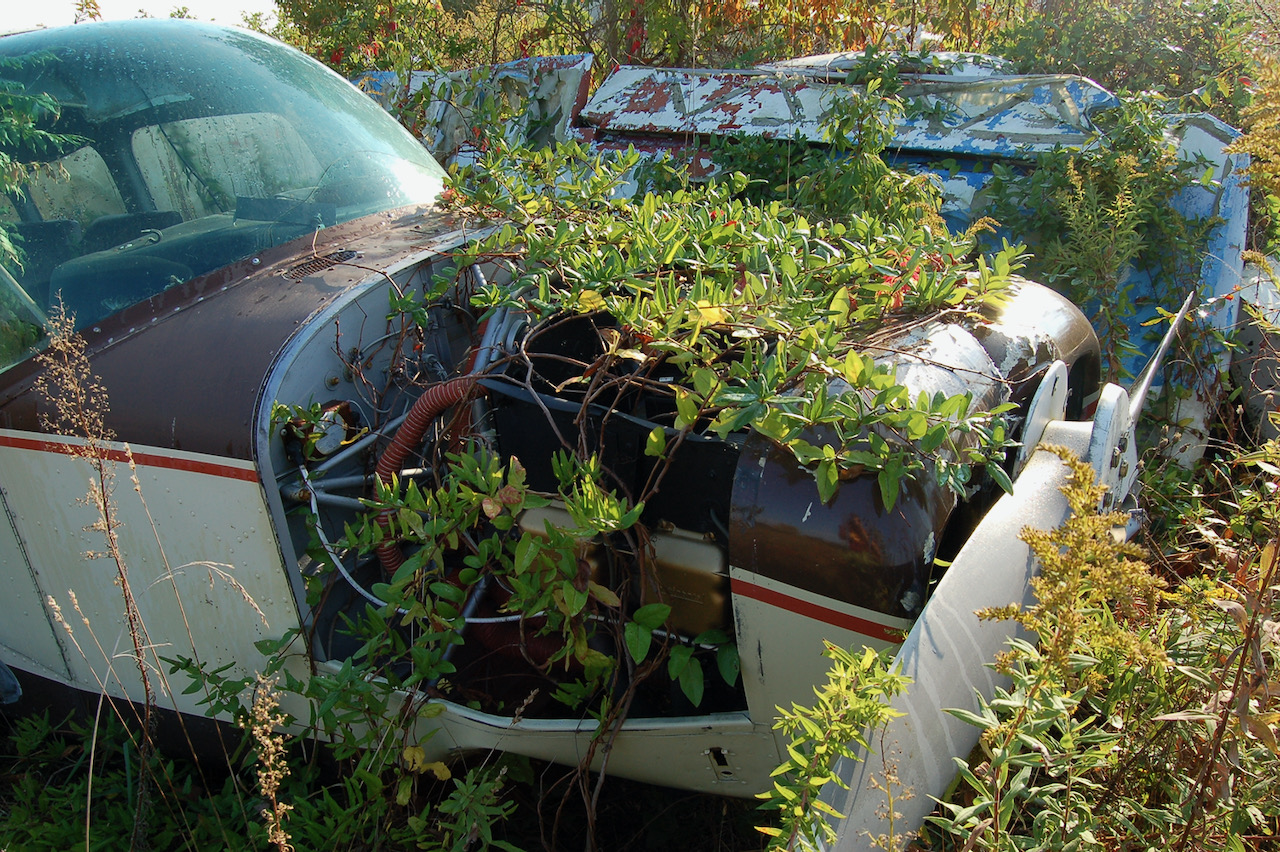 Jenkings field - 1 (1).jpeg