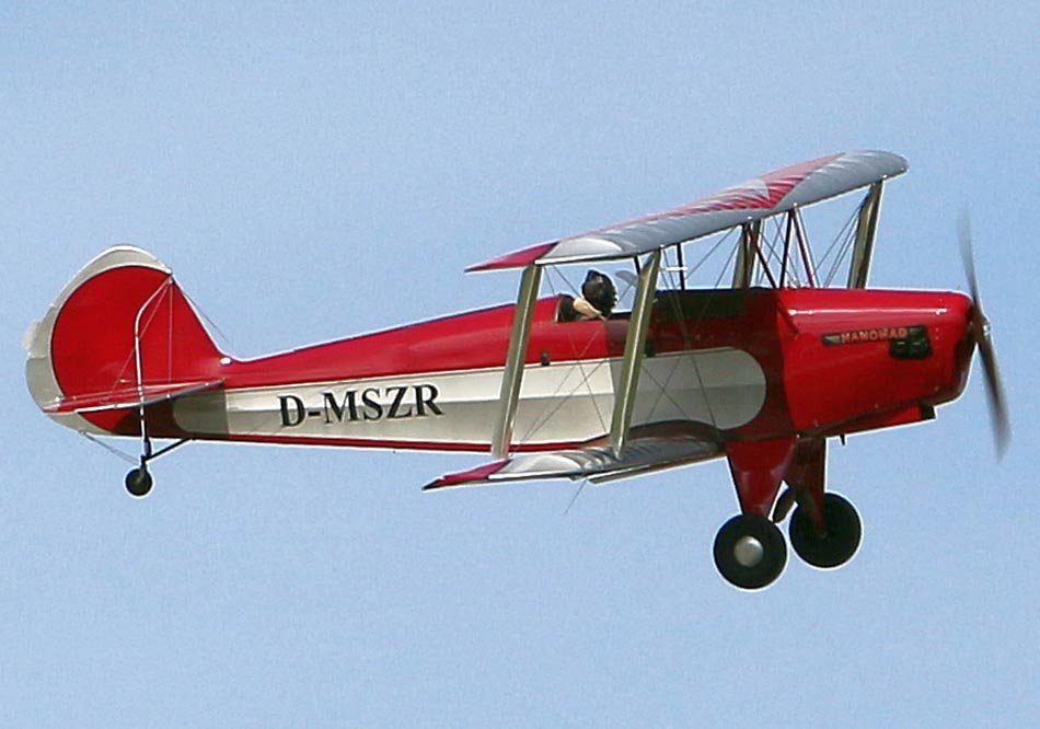 kiebitz-4.jpg