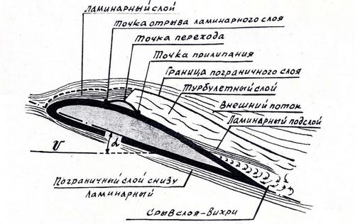 крыло.jpg