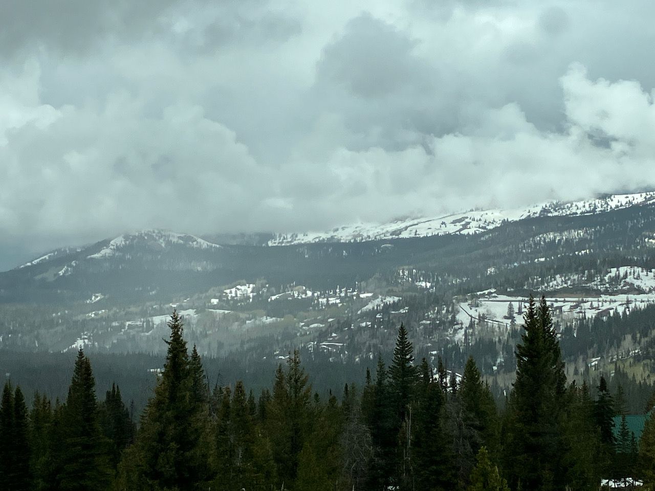 looking for landing sites - 1 (2).jpeg