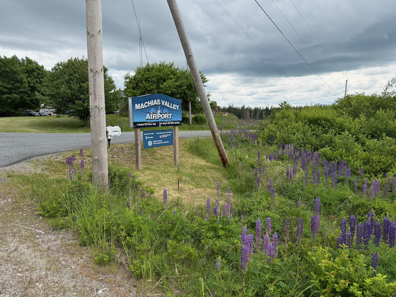 Machias - 1 (2).jpeg