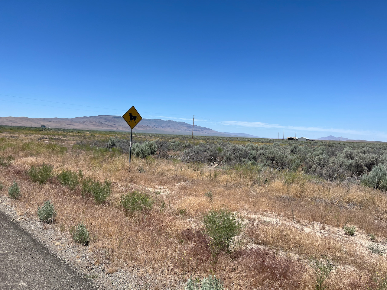 McDermitt - 1 (6).jpeg