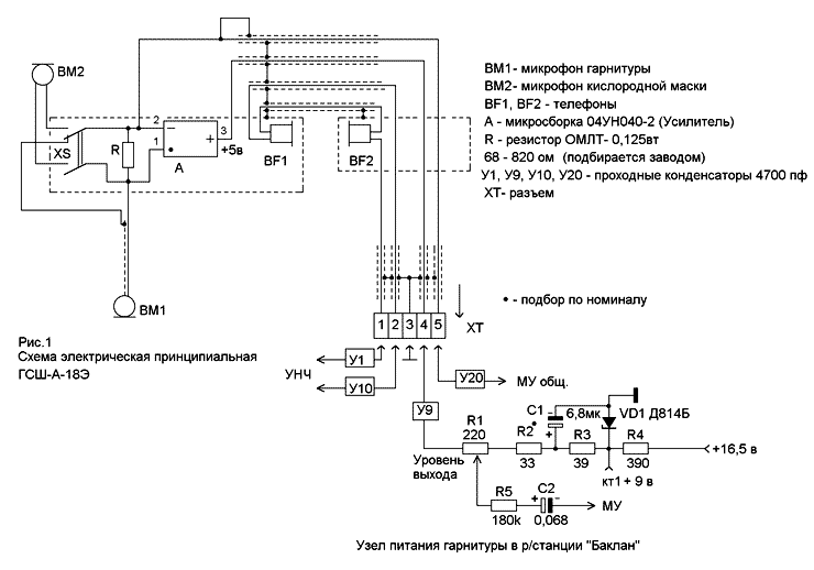 mic_ris01.gif