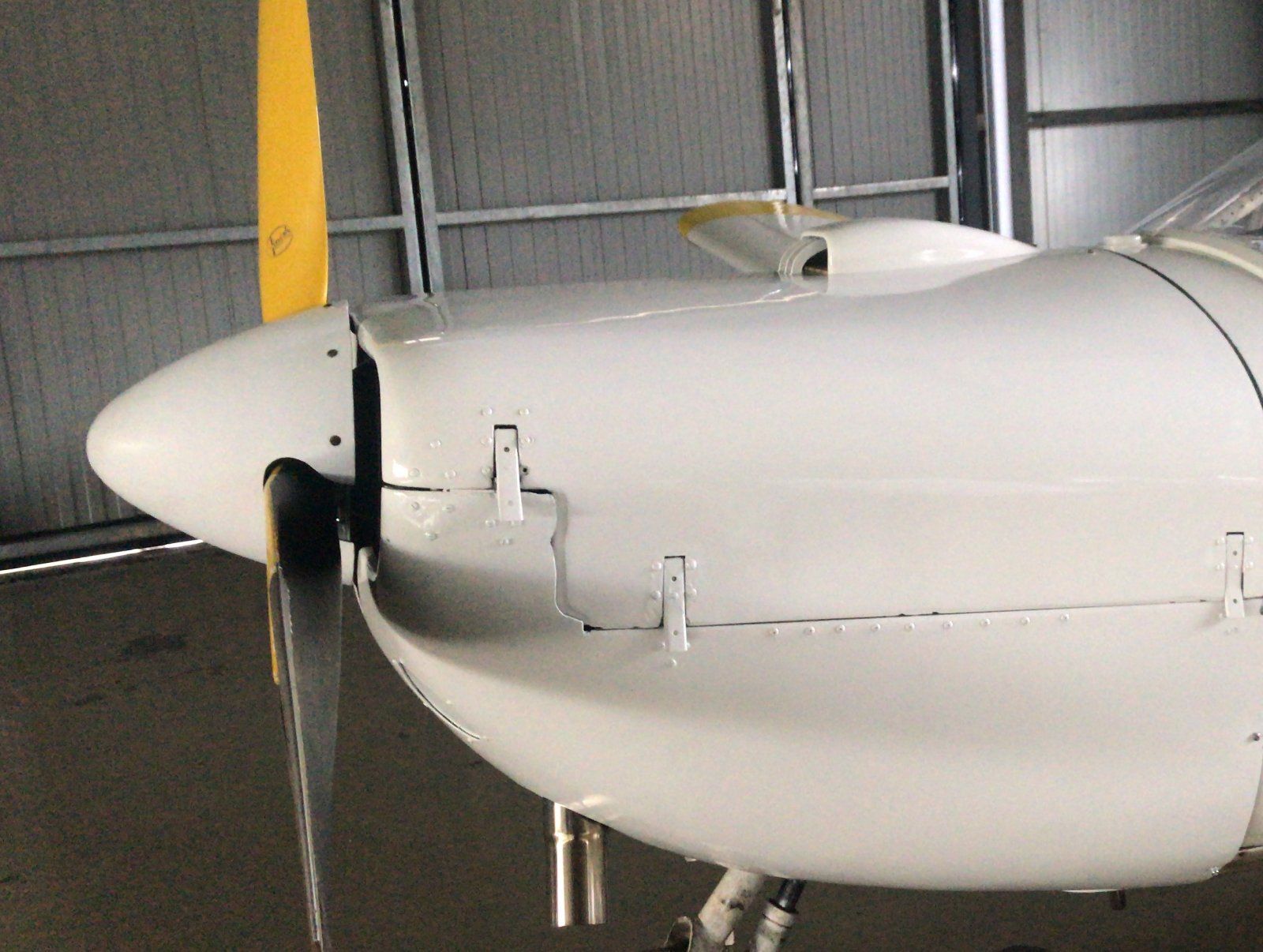 нос сокаты.JPG