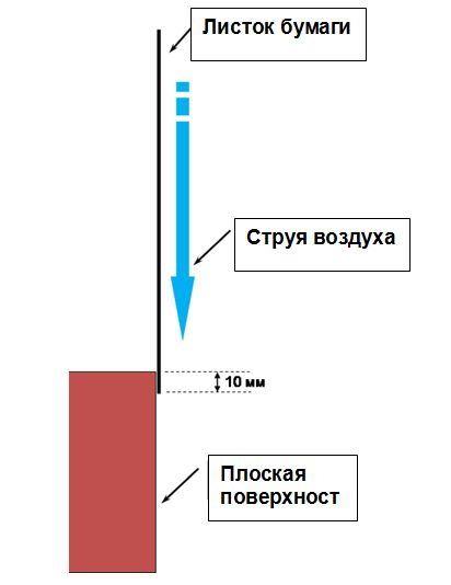 Обдув листочка.jpg
