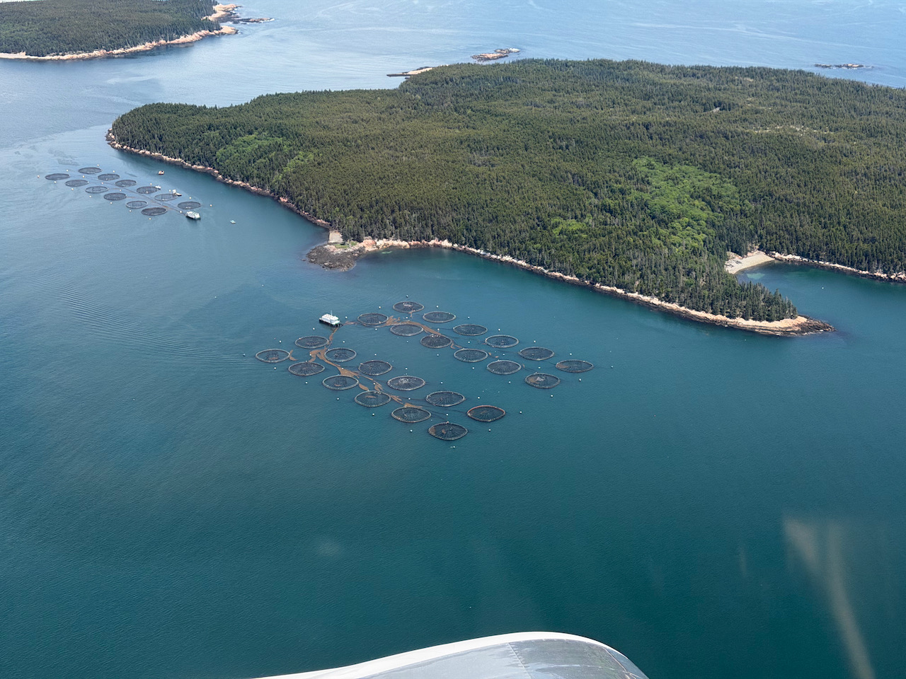 Oyster Farm - 1.jpeg