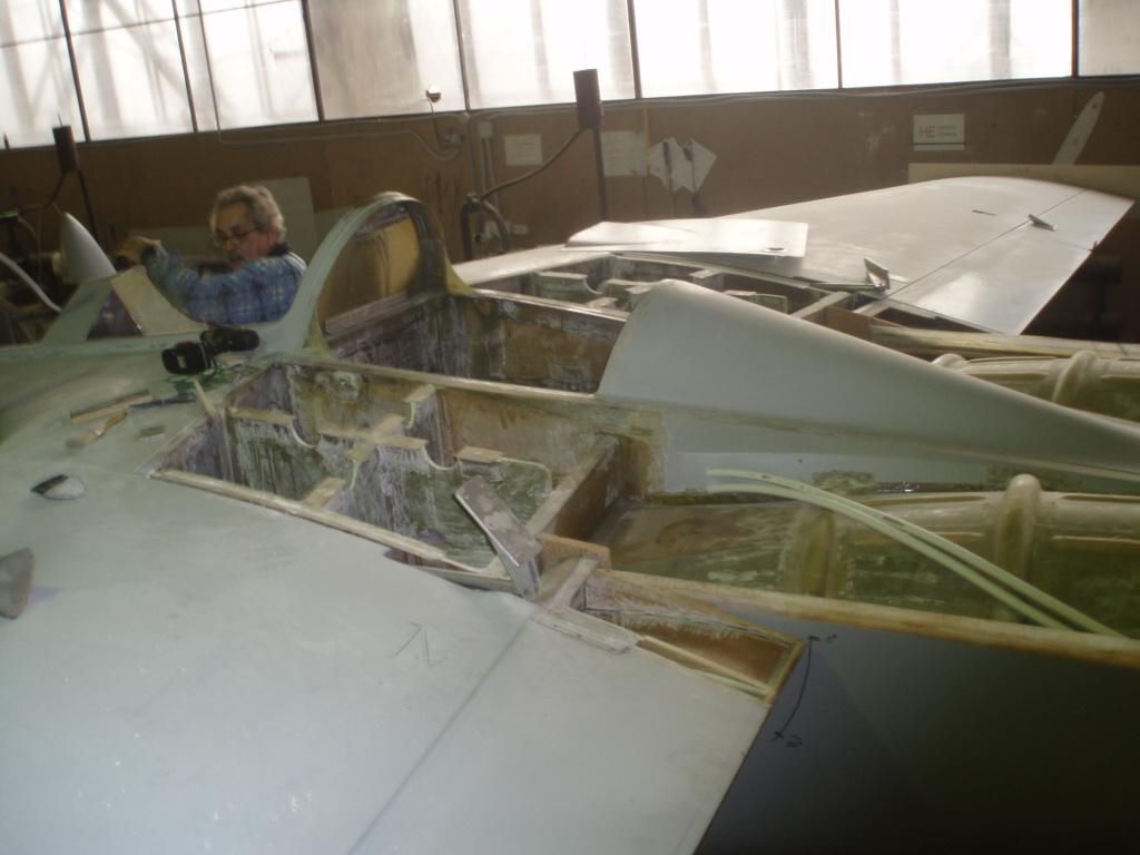 P2220087 (Large).jpg