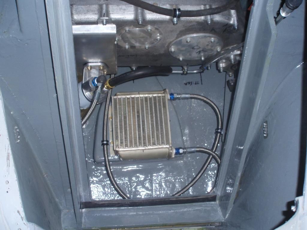 P3060797 (Large).jpg