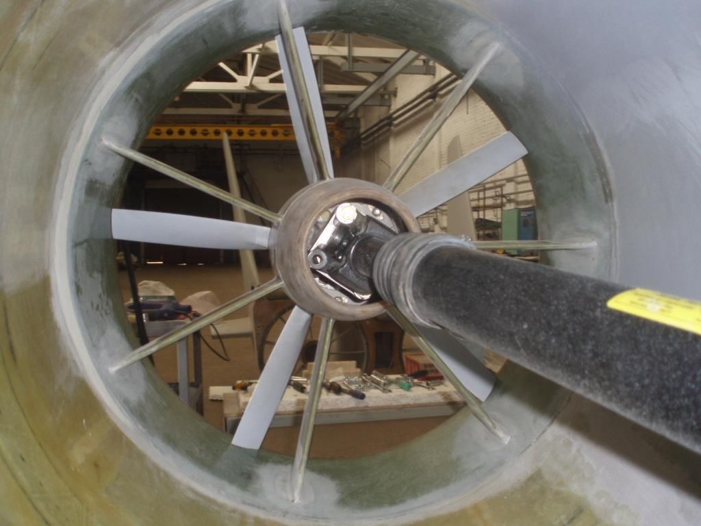 P4060497 (Large).jpg