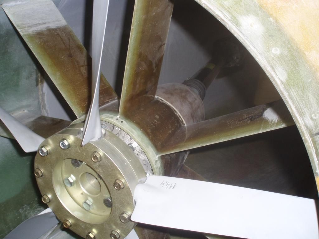 P4060498 (Large).jpg