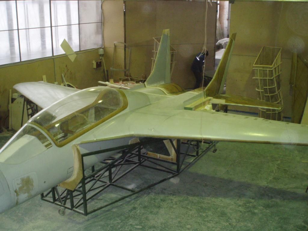 P5100680 (Large).JPG