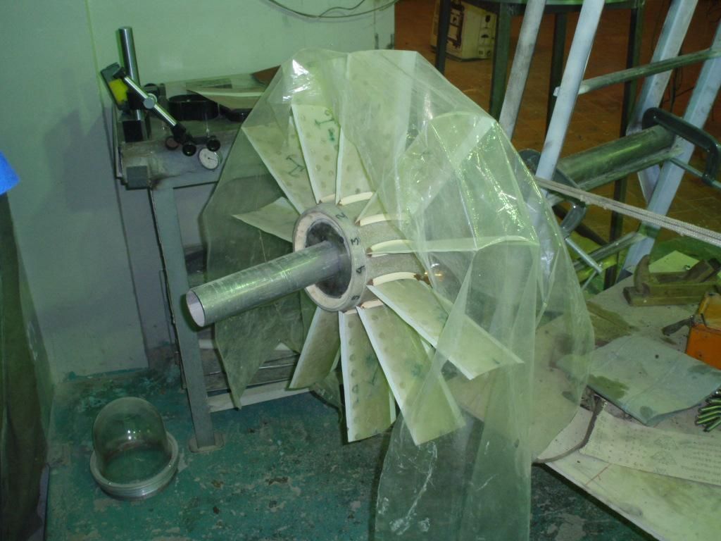 P7020387 (Large).jpg