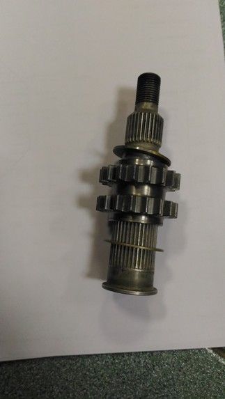 P_20201203_064751.jpg