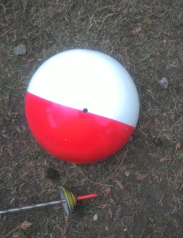 P_20210406_152752.jpg P_20210406_152752.jpg