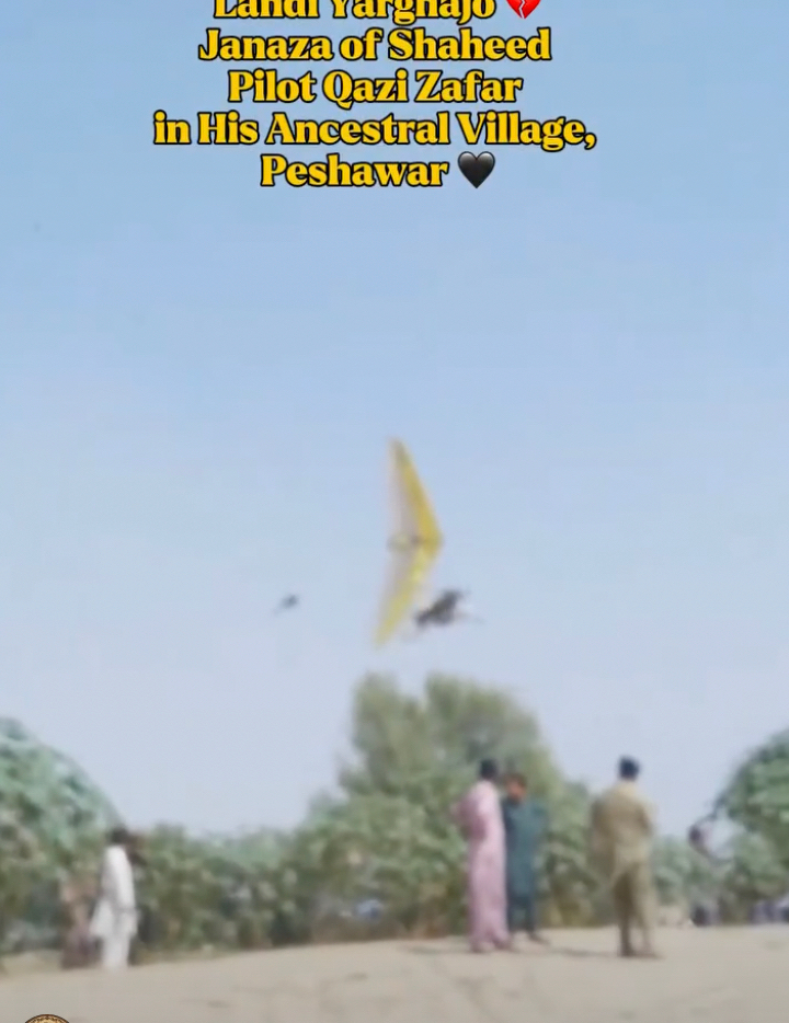 Pakistan_Case_04.jpg