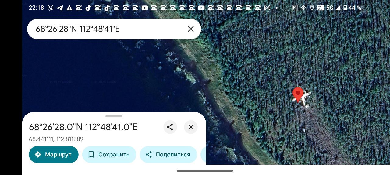 plane_in_forest.jpeg