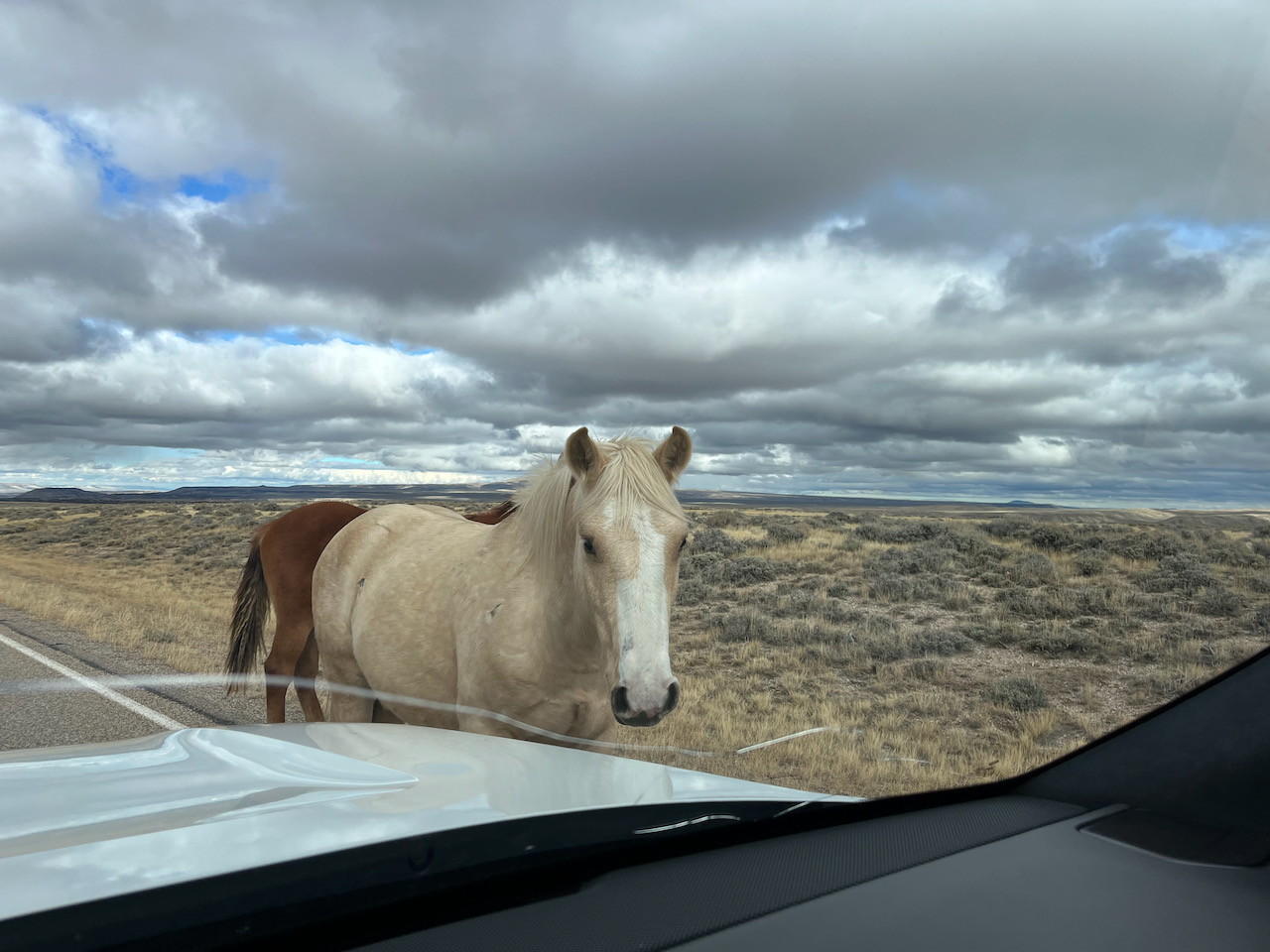 проверка - 1.jpeg