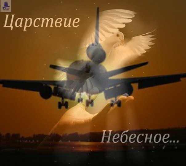 -qo8IDHbGko.jpg
