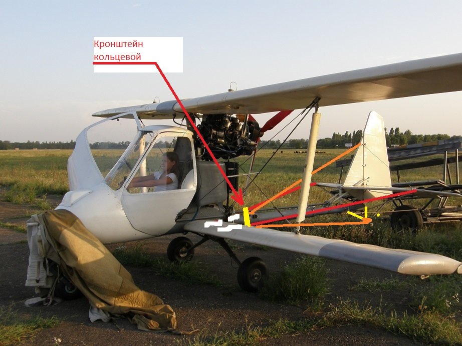 растяжка хвоста.JPG