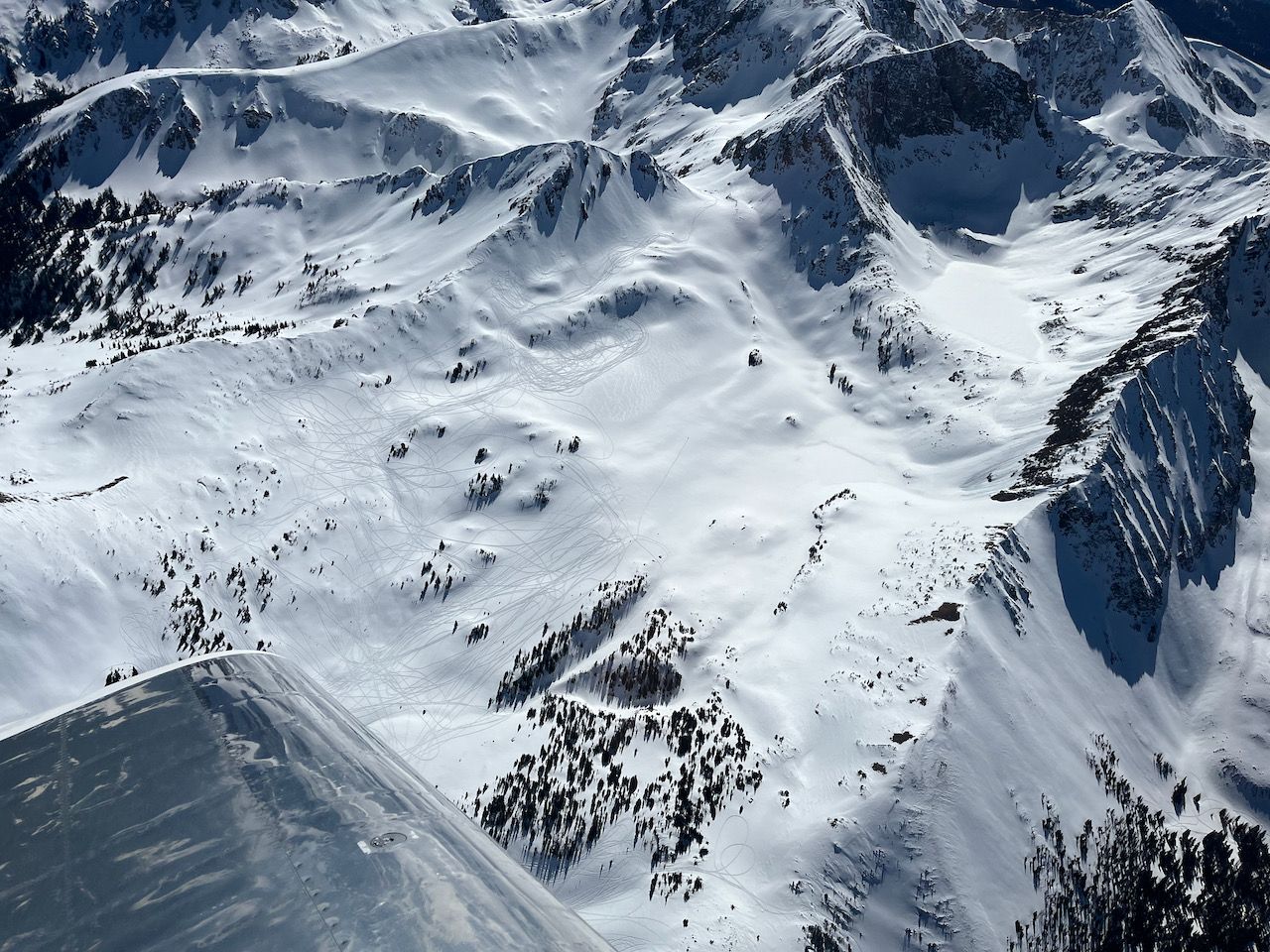 Rockies - 1 (1).jpeg