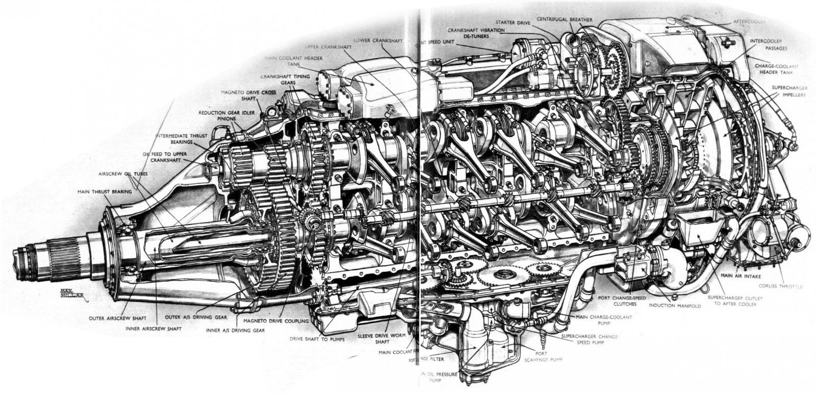rr-eagle cutaway.jpg