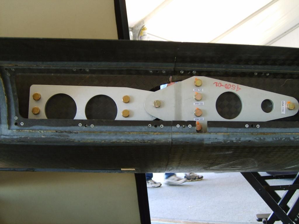 S5000082 (Large).jpg