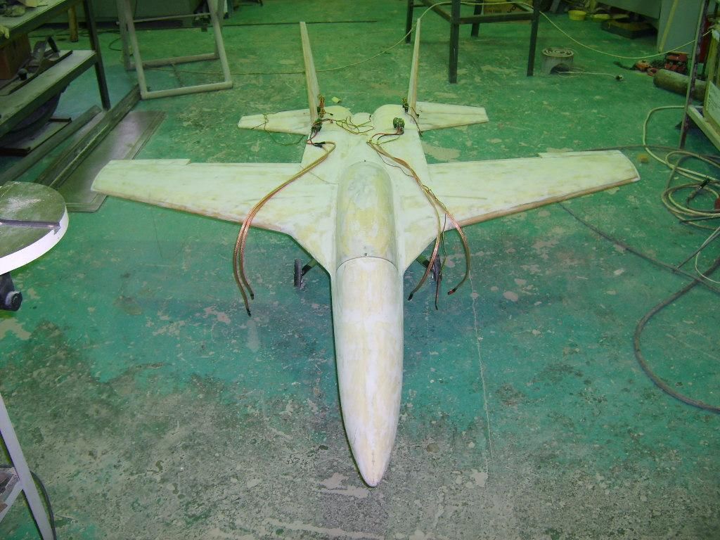 S5000438 (Large).jpg