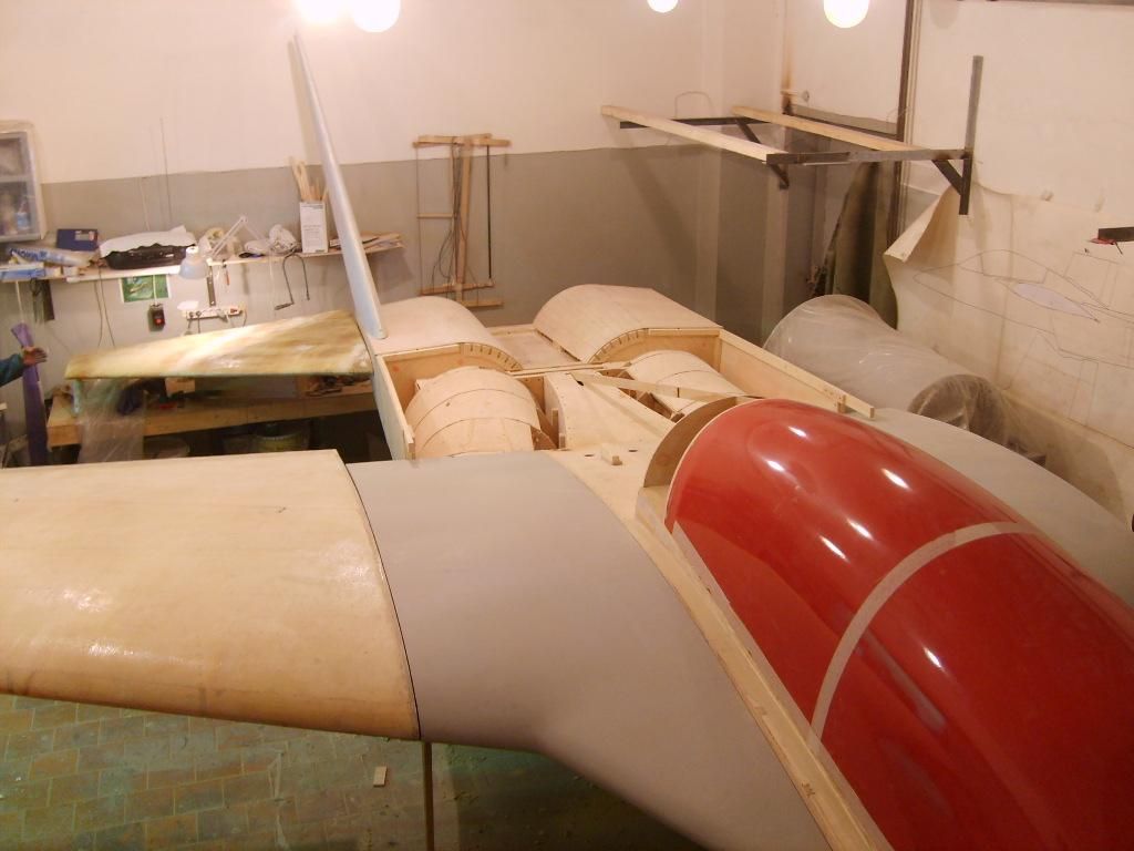 S5000956 (Large).jpg