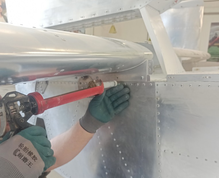 Самолёт Горыныч 1007.jpg