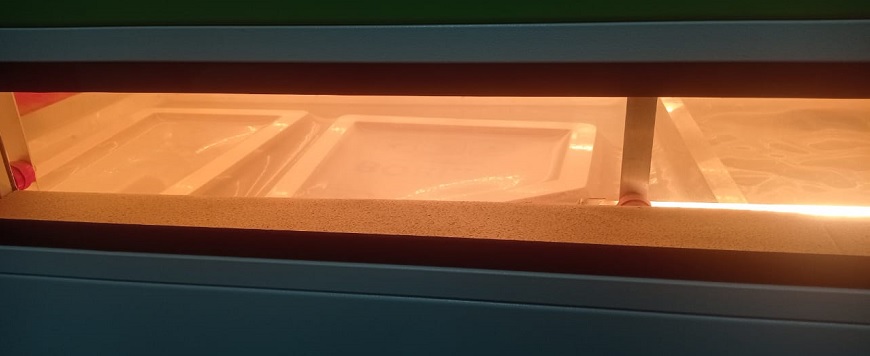 Самолёт Горыныч 958.jpg