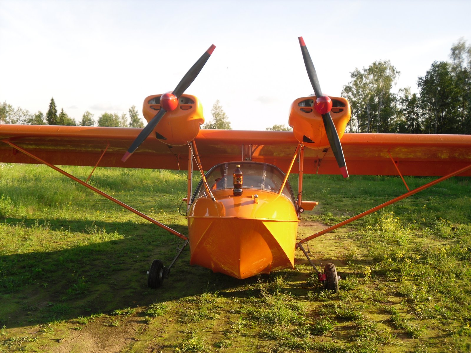 SDC11808.JPG