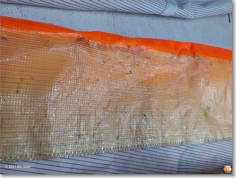 sized_20211108_125027 (1).JPG