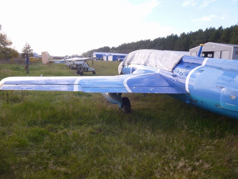 sized_P1020161.JPG sized_P1020161.JPG