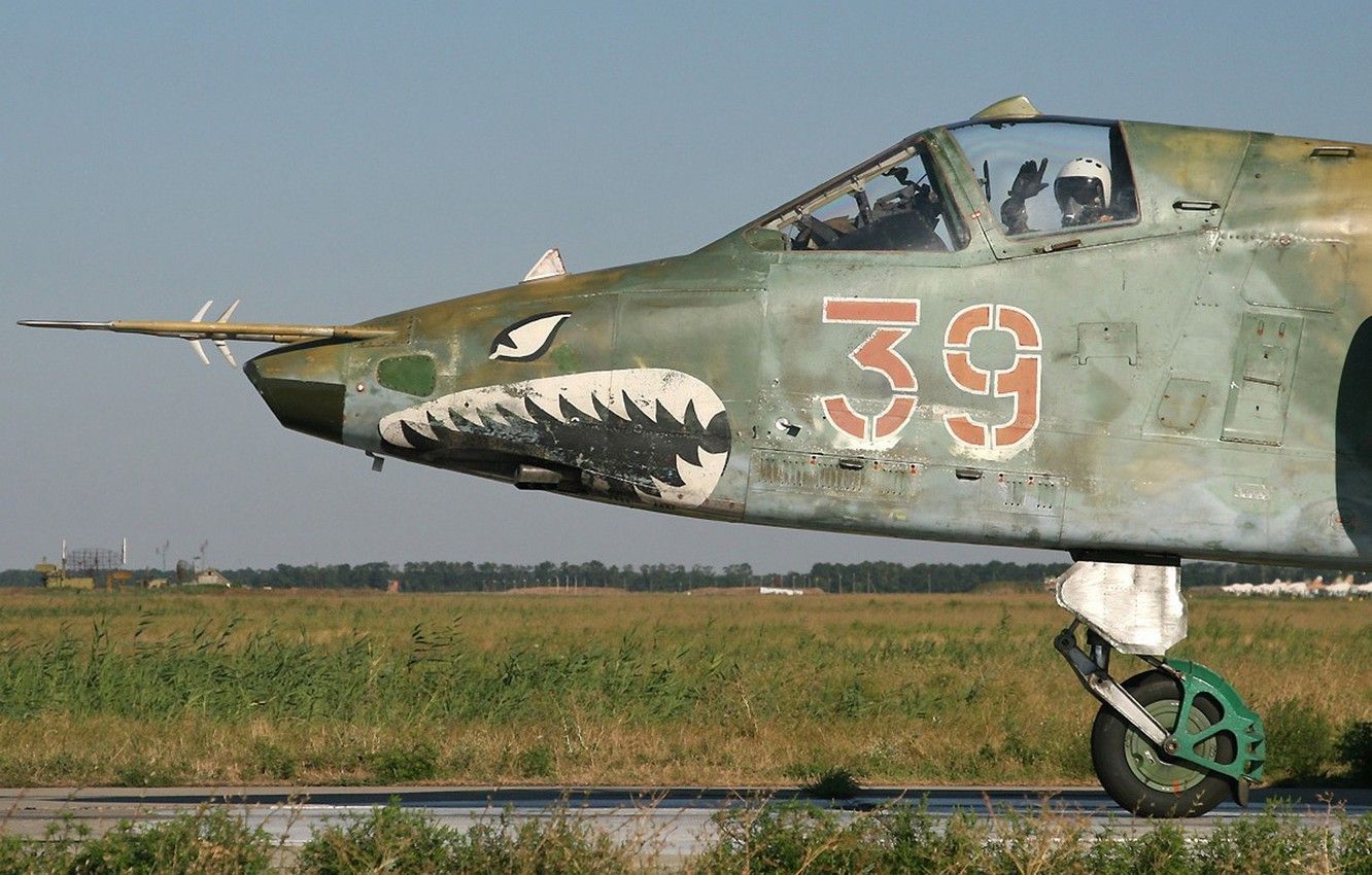 sized_su-25-grach-shturmovik-2490.JPG