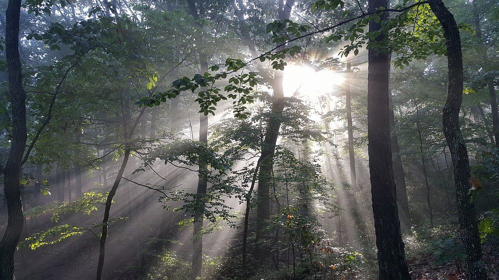 sm20200530_082216.JPG sm20200530_082216.JPG