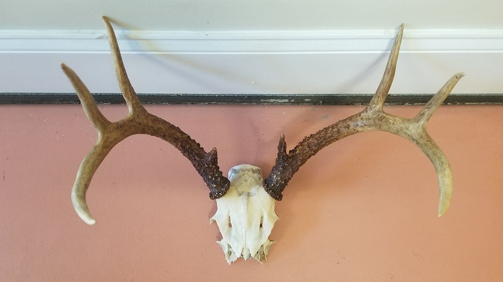 sm20201116_111835.JPG sm20201116_111835.JPG