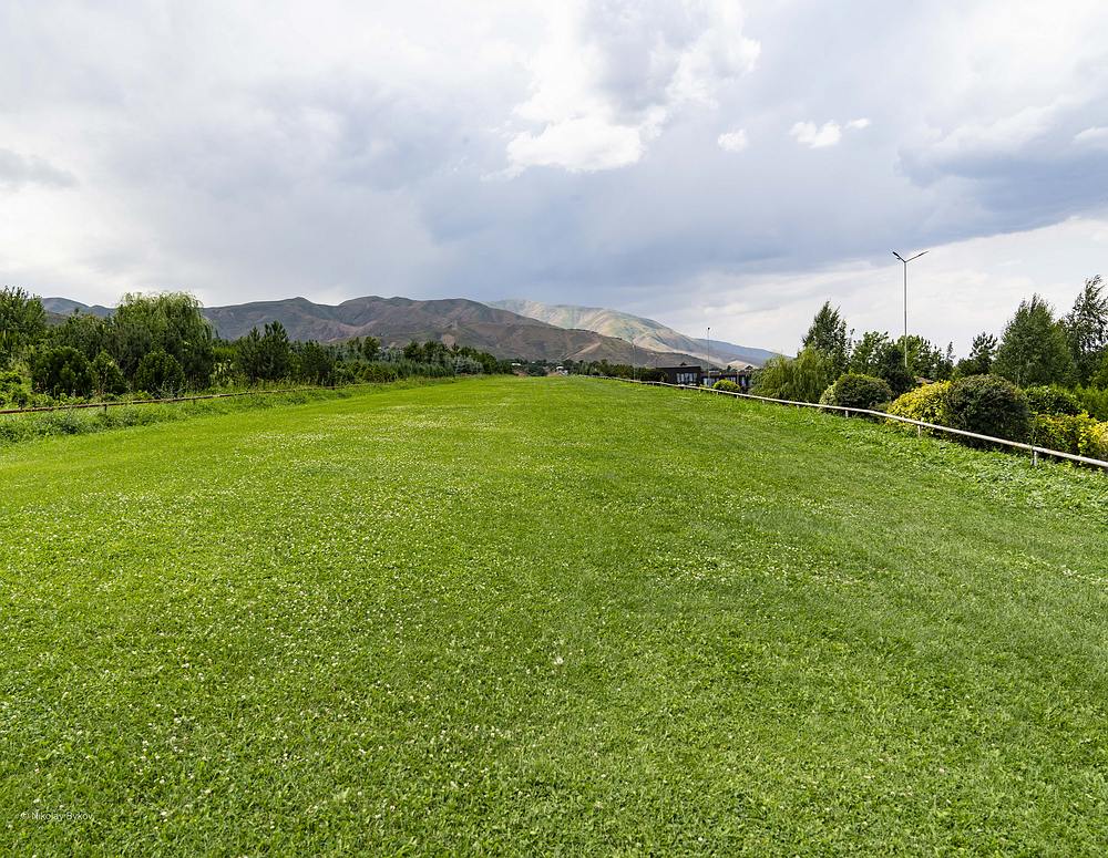 smDSC03994.JPG