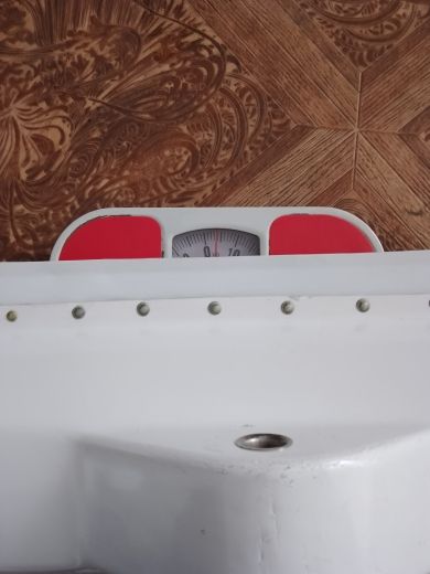 вес лыжи.jpg