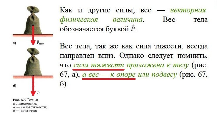 Вес_5.JPG