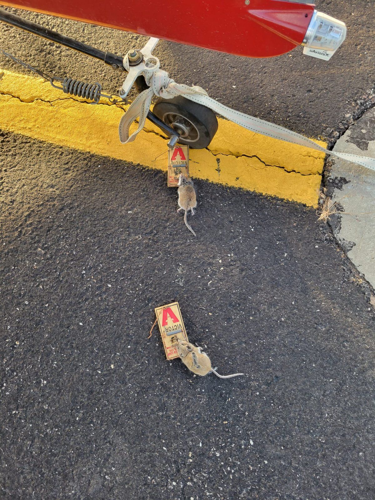 WhatsApp Image 2022-07-21 at 3.55.26 PM.jpeg