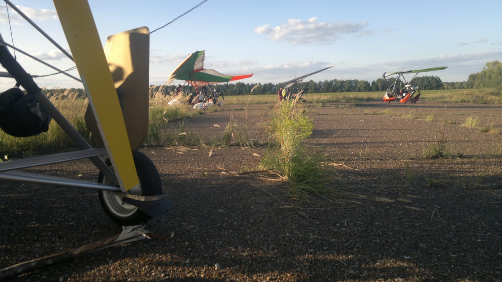 WhatsApp Image 2023-08-28 at 05.54.26.jpeg